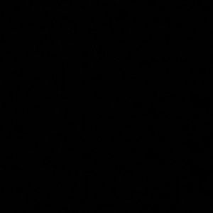 Meet your Posher, Tana